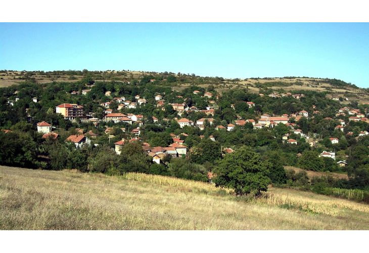 Село Типченица