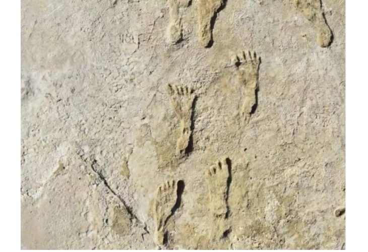 Снимка: Откриха отпечатъци от човешки стъпки на 12 000 години - 88 отпечатъка от деца и възрастни