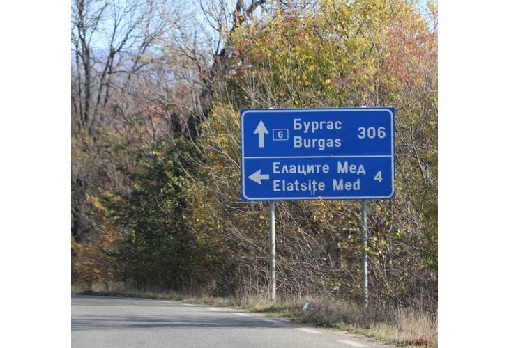 Елаците мед