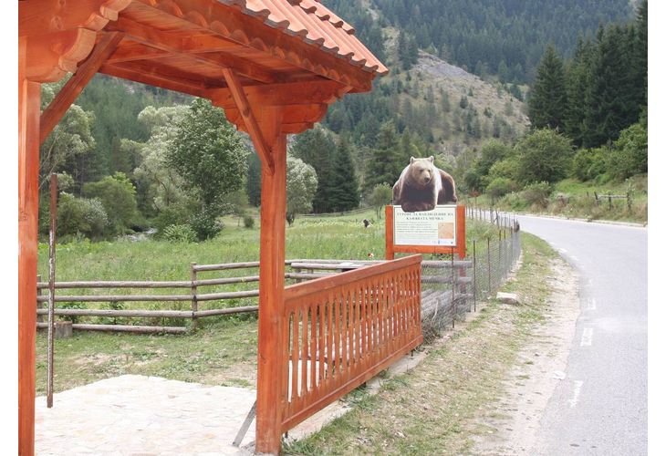 Снимка: МЗХ разреши Държавно горско стопанство-Смилян да организира и осъществи отстраняване на проблемната кафява мечка в Смолянско