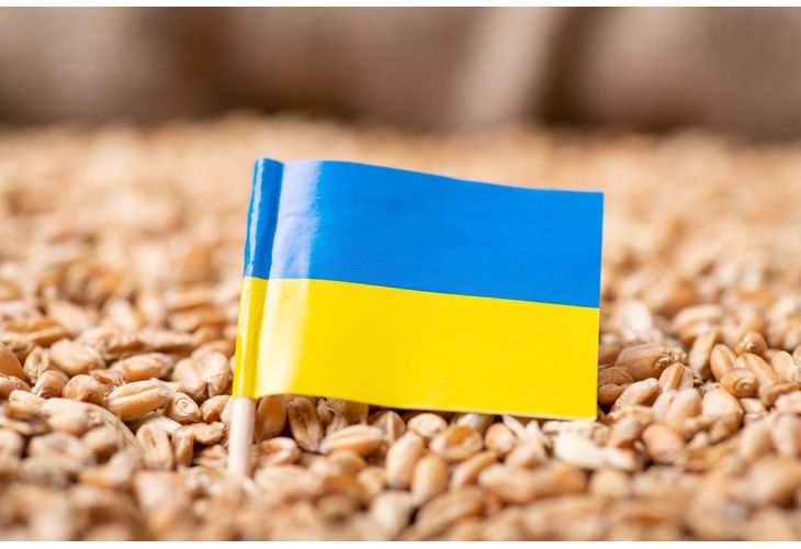 Износът на зърно и маслодайни семена от Украйна може да