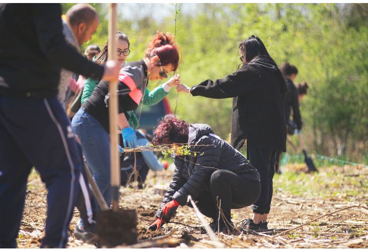 8 000 дръвчета бяха засадени в залесителна акция, организирана от Община Мездра