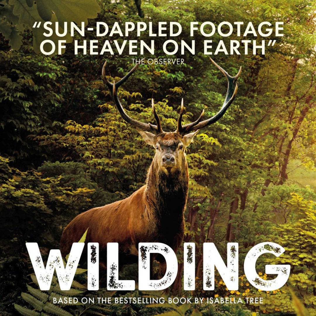  Завръщане към дивата природа 