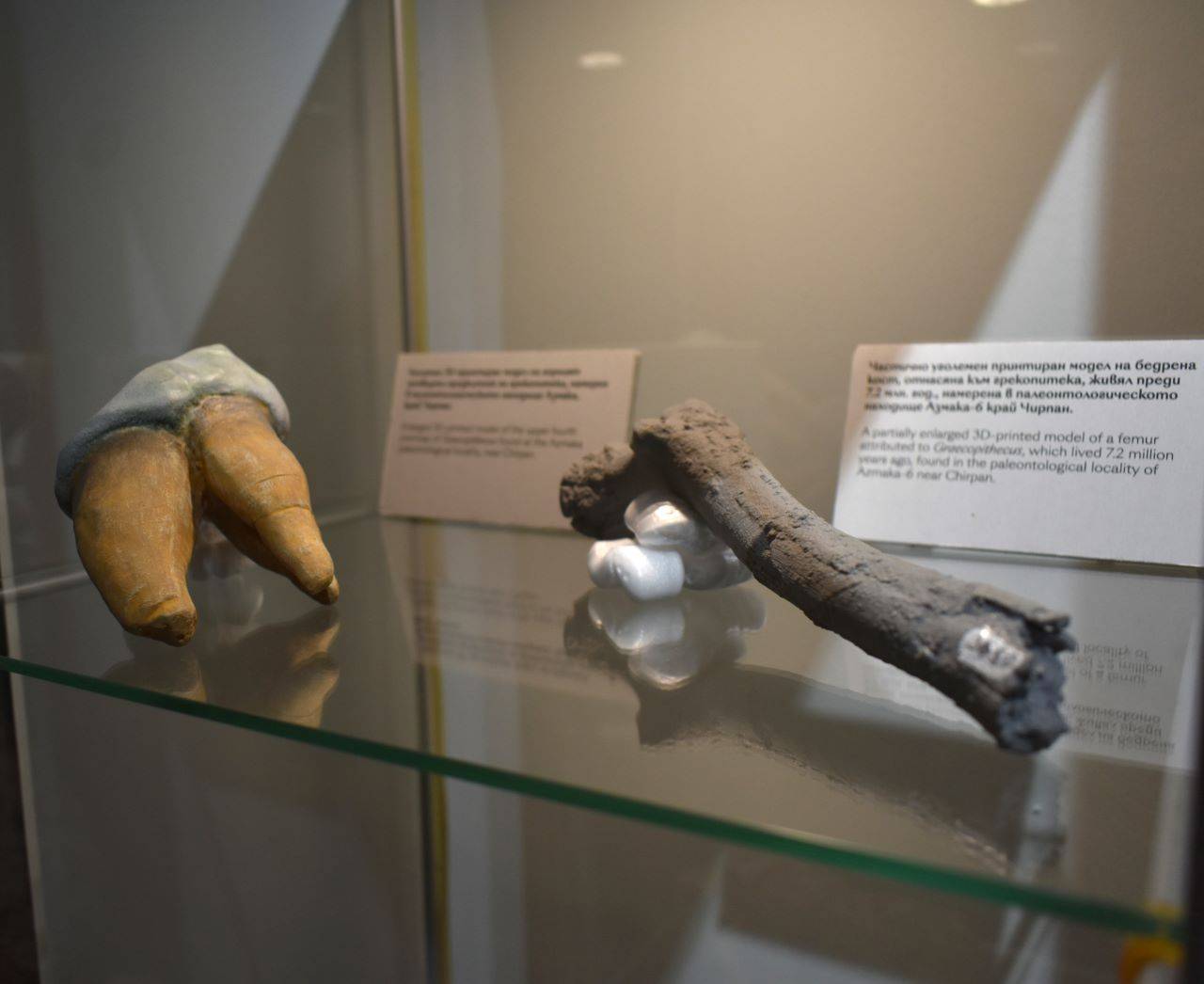  Изложба в Асеновград споделя за първите хора на Земята 