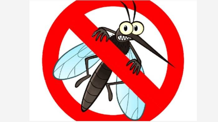 На 2 юли ще бъде извършена дезинсекция срещу комари в гр. Мездра 