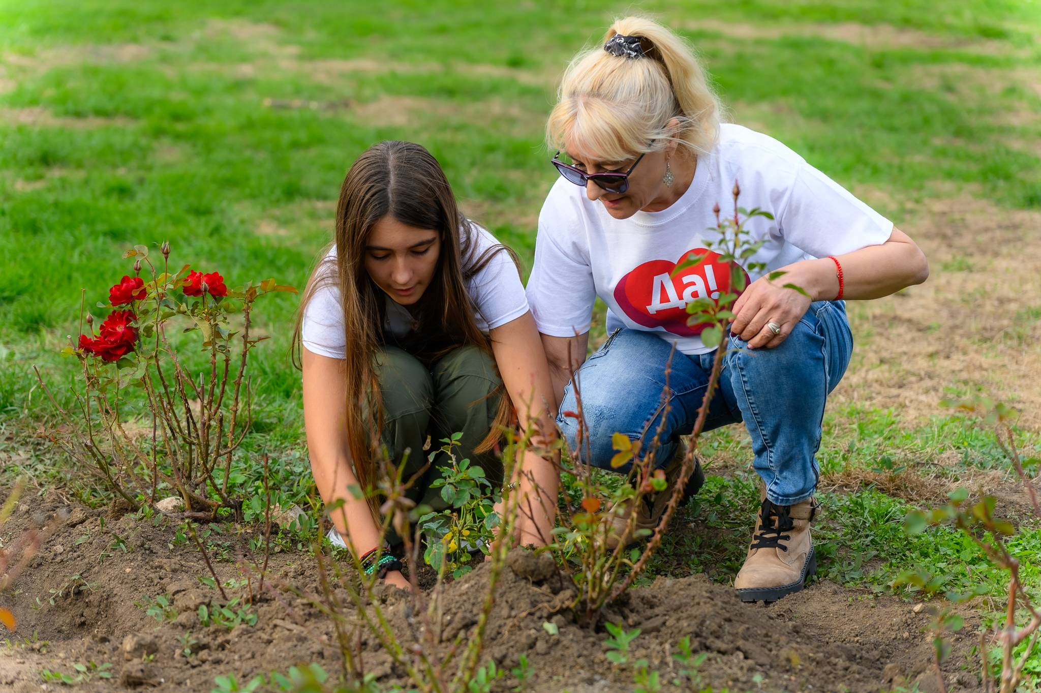  В памет на донорите: 16 рози бяха засадени в специфична градина зад НДК 