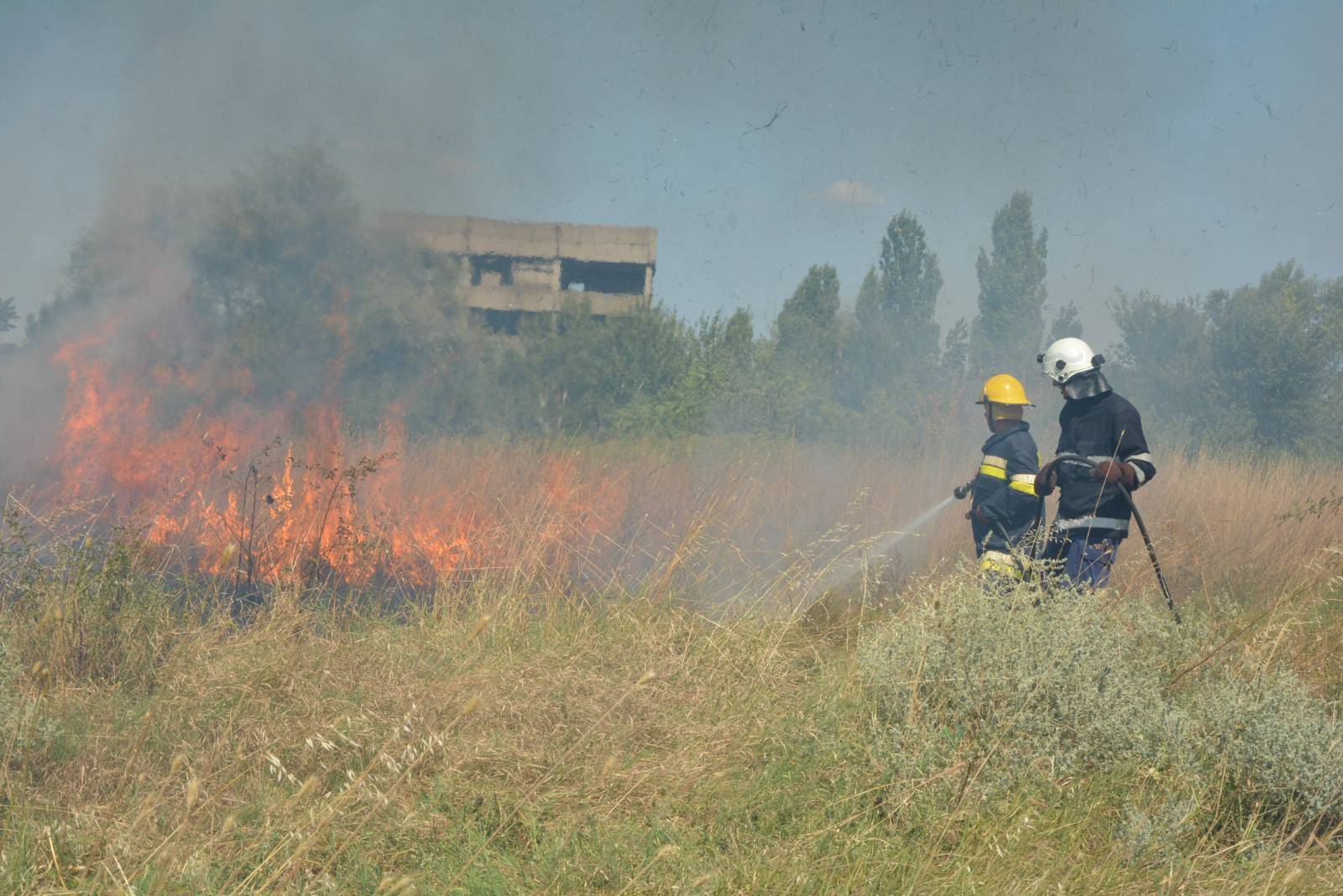  Спряха пламъците на пожара, обхванал гробищен парк в Хасково 