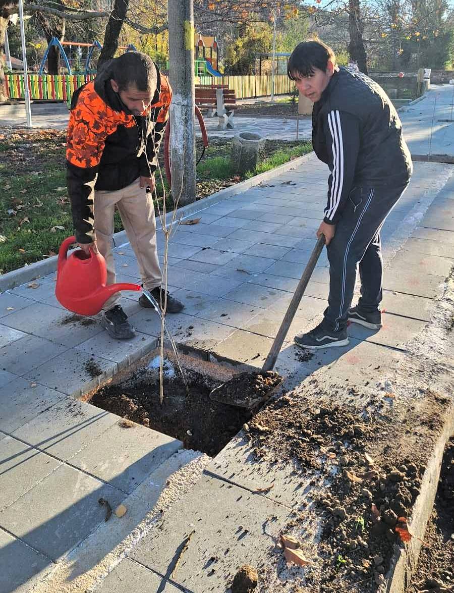 Повече от 500 бр. фиданки раздаде безвъзмездно община Асеновград
